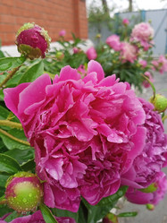 Similar image 21031596