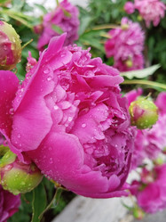 Similar image 21031598