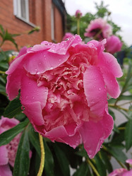 Similar image 21031599