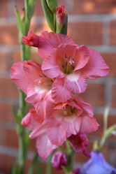 Similar image 21030150