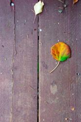 Similar image 21022349