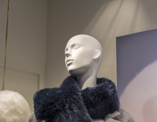 Similar image 21025522