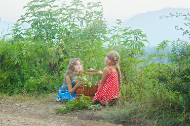 Similar image 21026927