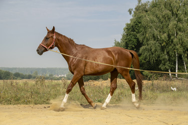 Similar image 21025523