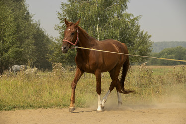 Similar image 21025525