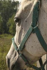 Similar image 21025528