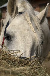 Similar image 21025530