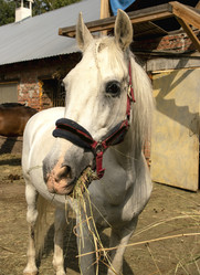 Similar image 21025531