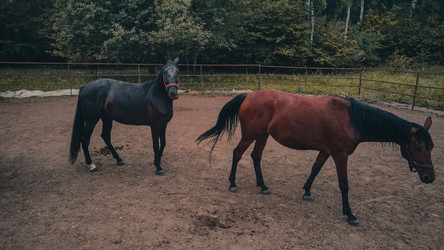 Similar image 21025532