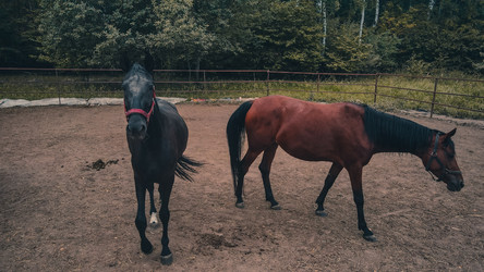 Similar image 21025533