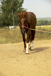 Similar image 21025537