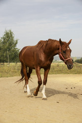 Similar image 21025538