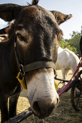 Similar image 21025539