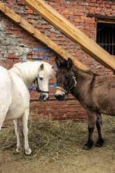 Similar image 21025540