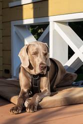 Similar image 21025552