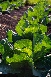 Similar image 21025556