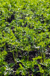 Similar image 21025558