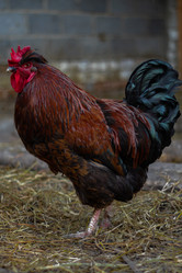 Similar image 21025559