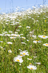 Similar image 21025560