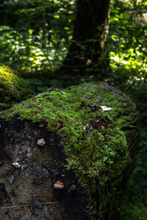 Similar image 21025561