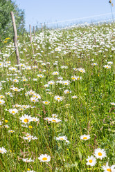 Similar image 21025562