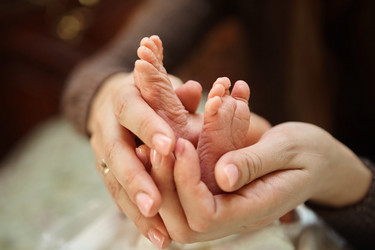 Similar image 21026983