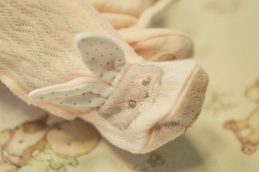 Similar image 21026993