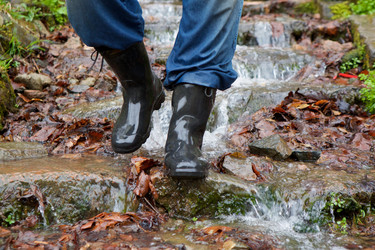 Similar image 21027002