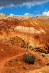 Similar image 21025828