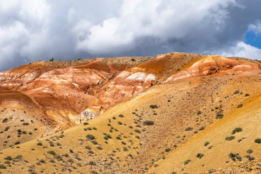 Similar image 21025830