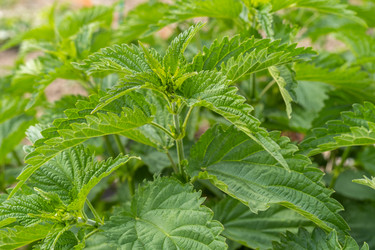 Similar image 21025687