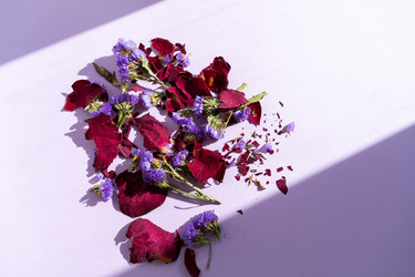 Similar image 21025688