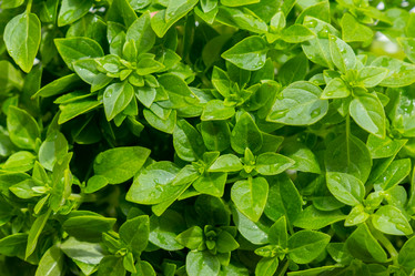 Similar image 21025689