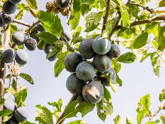 Similar image 21025692