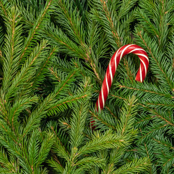 Similar image 21025693