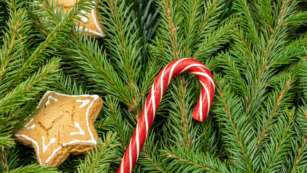 Similar image 21025694