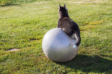 Similar image 21025699