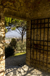 Similar image 21025700