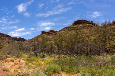 Similar image 21025704