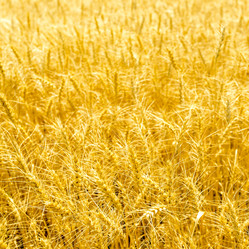 Similar image 21025707