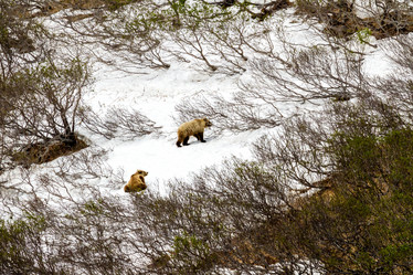 Similar image 21025708