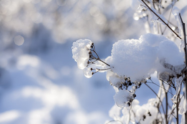 Similar image 21025709