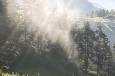 Similar image 21025715