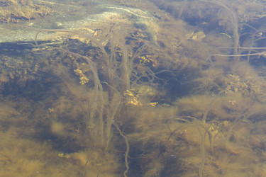 Similar image 21025717