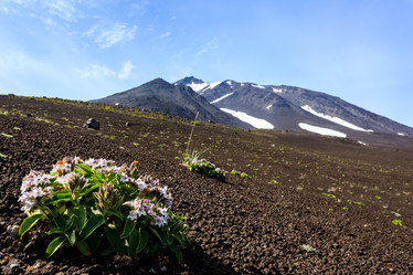 Similar image 21025719