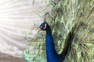 Similar image 21025722