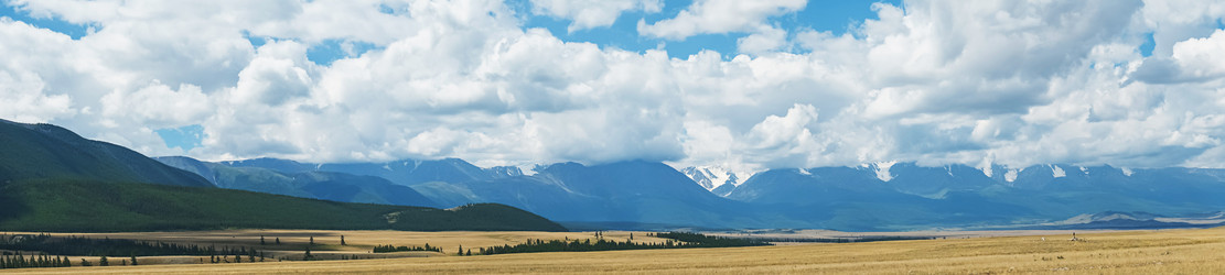 Similar image 21042096