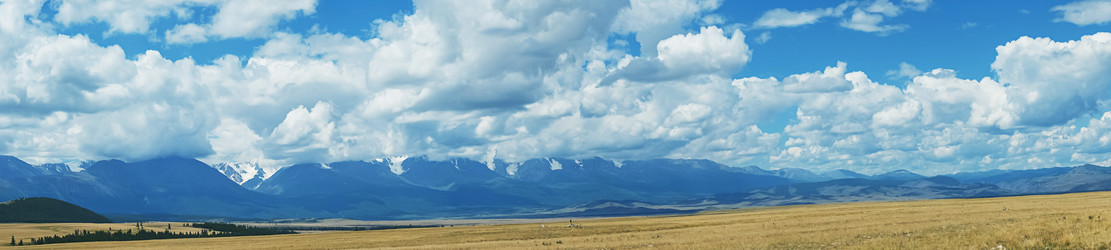 Similar image 21042097