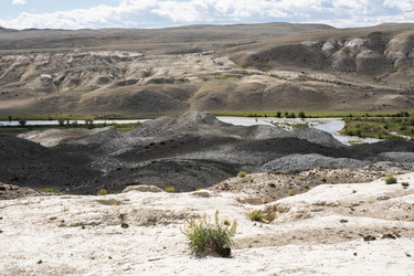 Similar image 21025860