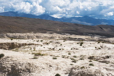 Similar image 21025864